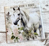 Horse Magnets