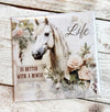 Horse Magnets