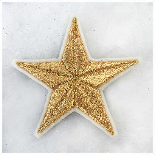 Embroidered Metallic Star