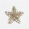 The cutest small bead and rhinestone star appliqué! 
